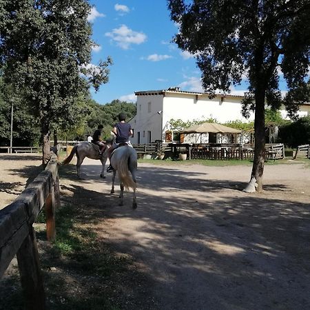 Casa Rural, Can Cirera Seriñá المظهر الخارجي الصورة